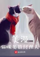 Beauty Man: Cat Hero Manager